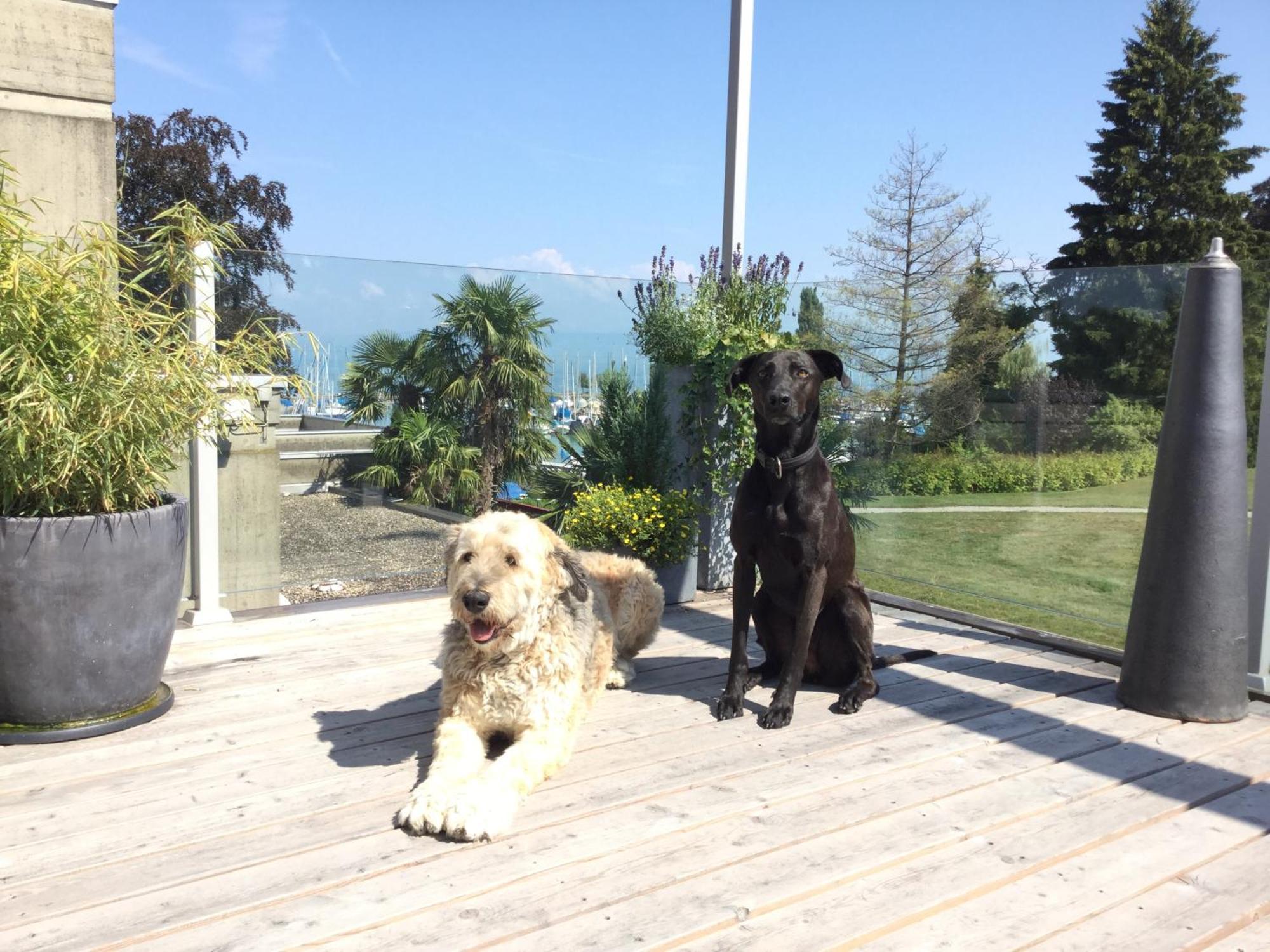 Lakelodge Romanshorn Exterior foto